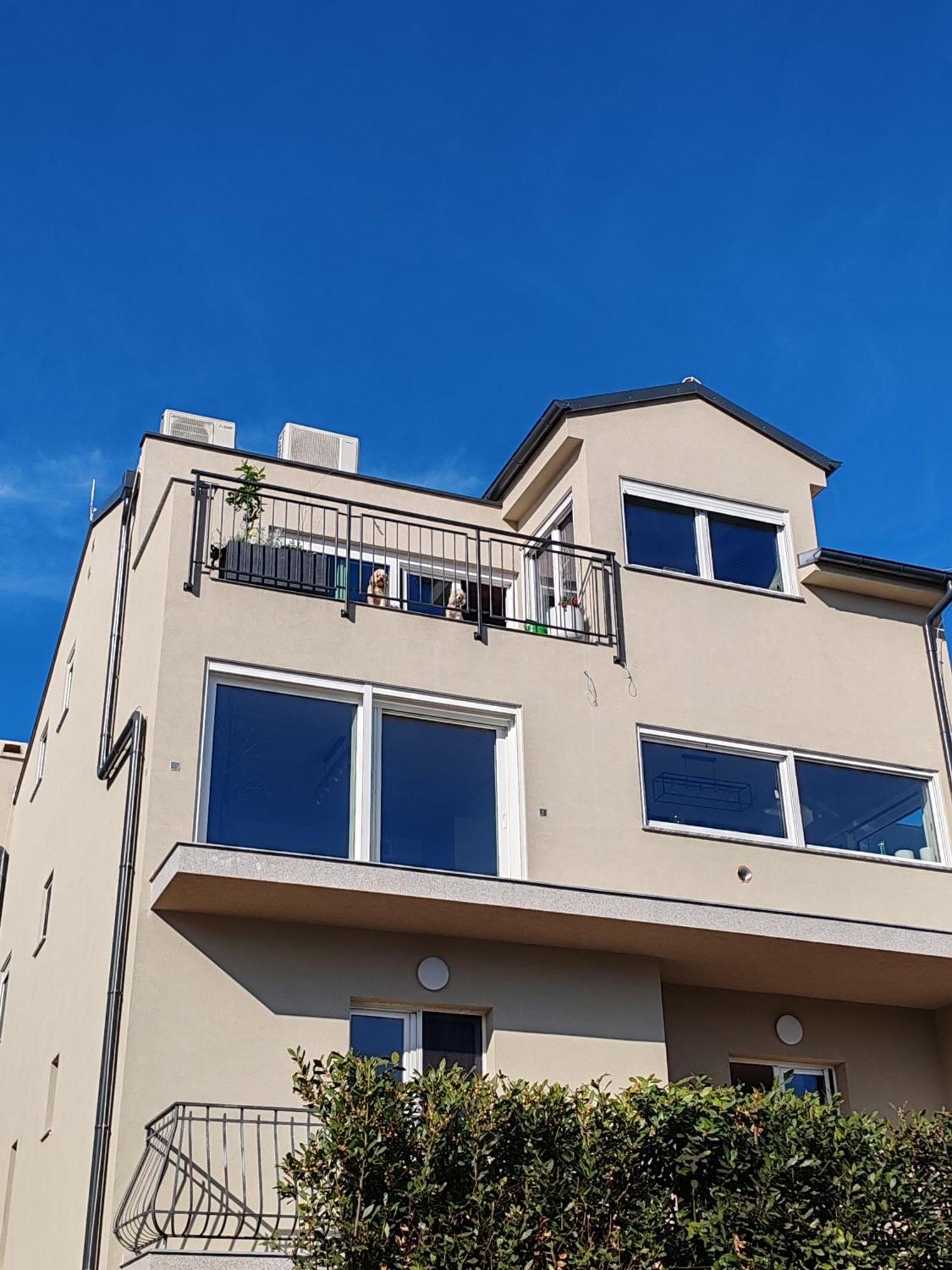 Apartments Mirta Rovinj Exteriör bild